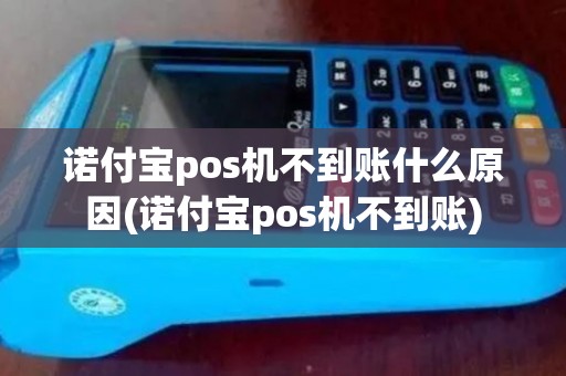 诺付宝pos机不到账什么原因(诺付宝pos机不到账)