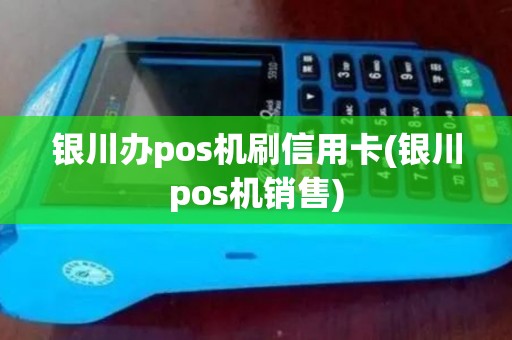 银川办pos机刷信用卡(银川pos机销售)