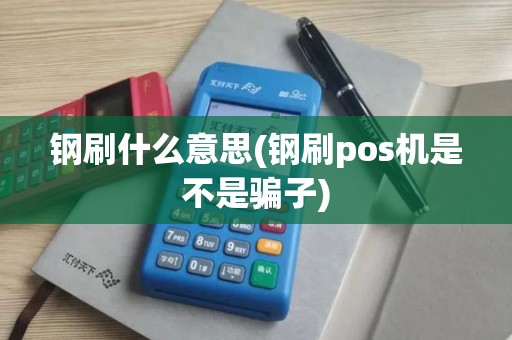 钢刷什么意思(钢刷pos机是不是骗子)