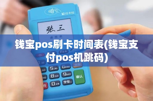 钱宝pos刷卡时间表(钱宝支付pos机跳码)