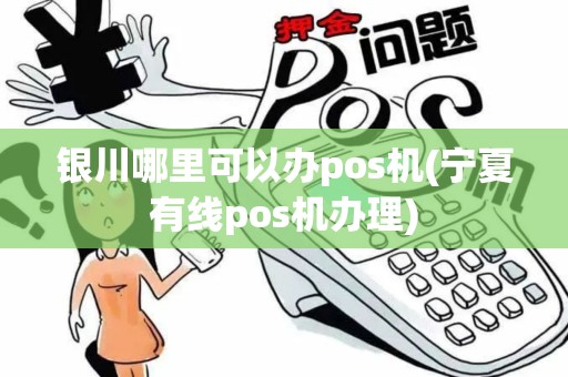 银川哪里可以办pos机(宁夏有线pos机办理)