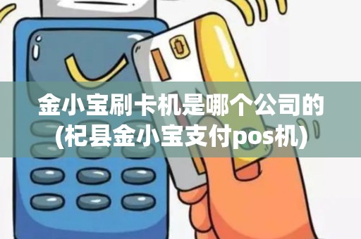 金小宝刷卡机是哪个公司的(杞县金小宝支付pos机)