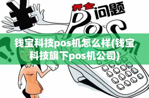 钱宝科技pos机怎么样(钱宝科技旗下pos机公司)