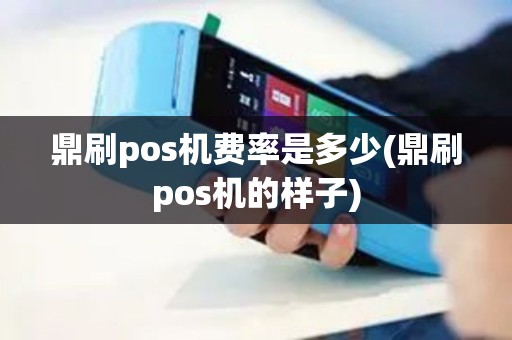 鼎刷pos机费率是多少(鼎刷pos机的样子)