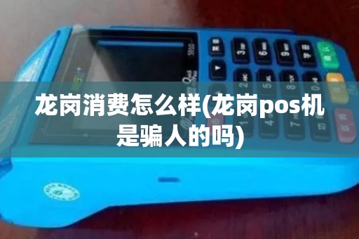 龙岗消费怎么样(龙岗pos机是骗人的吗)