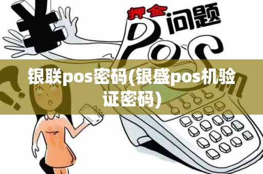 银联pos密码(银盛pos机验证密码)