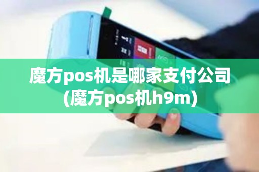 魔方pos机是哪家支付公司(魔方pos机h9m)