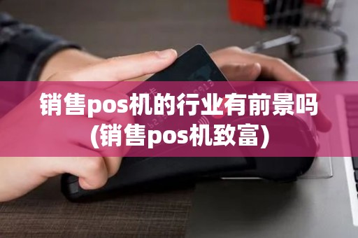 销售pos机的行业有前景吗(销售pos机致富)