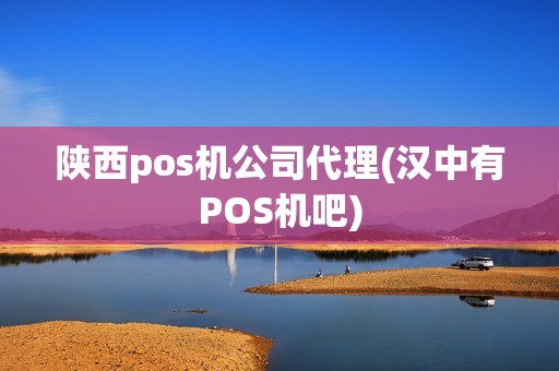 陕西pos机公司代理(汉中有POS机吧)