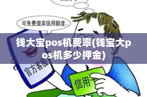 钱大宝pos机费率(钱宝大pos机多少押金)
