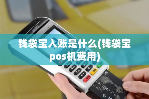 钱袋宝入账是什么(钱袋宝pos机费用)