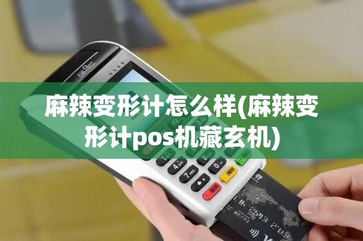 麻辣变形计怎么样(麻辣变形计pos机藏玄机)
