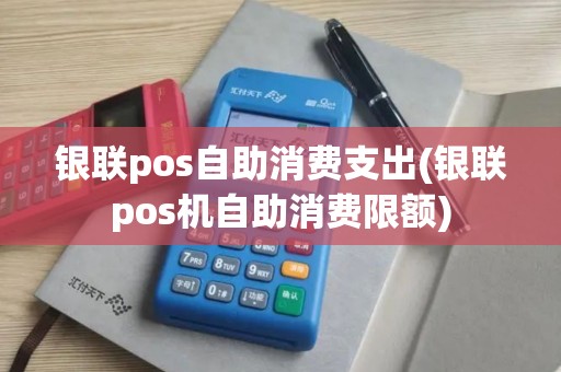 银联pos自助消费支出(银联pos机自助消费限额)