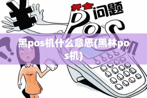 黑pos机什么意思(黑林pos机)
