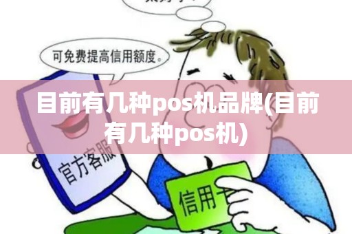 目前有几种pos机品牌(目前有几种pos机)