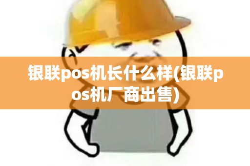 银联pos机长什么样(银联pos机厂商出售)
