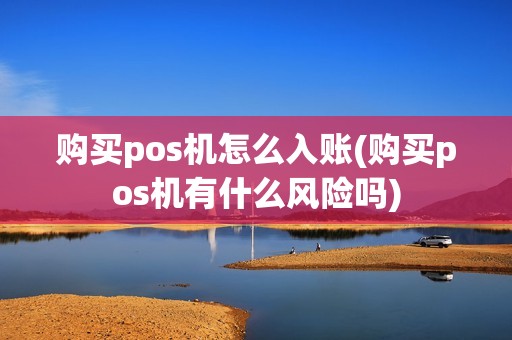 购买pos机怎么入账(购买pos机有什么风险吗)