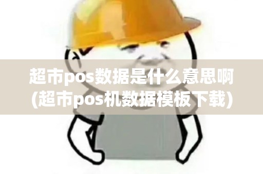 超市pos数据是什么意思啊(超市pos机数据模板下载)