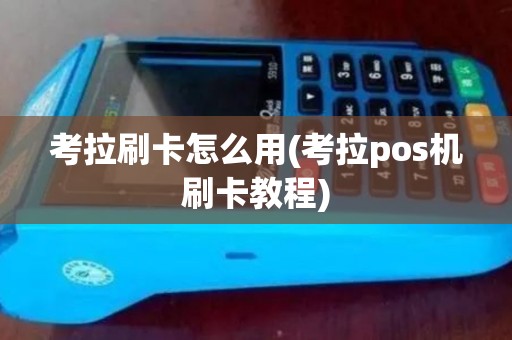 考拉刷卡怎么用(考拉pos机刷卡教程)