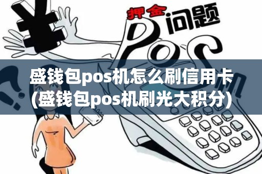 盛钱包pos机怎么刷信用卡(盛钱包pos机刷光大积分)