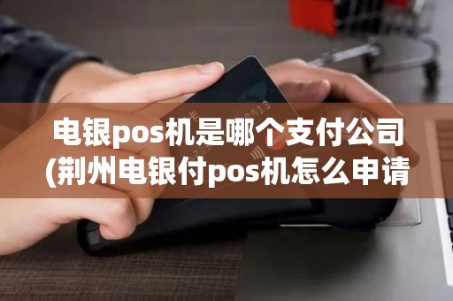 电银pos机是哪个支付公司(荆州电银付pos机怎么申请)