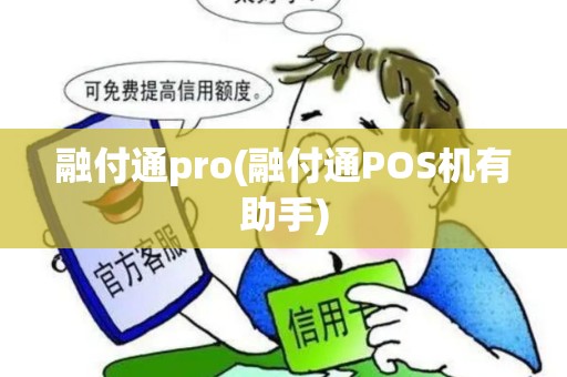 融付通pro(融付通POS机有助手)