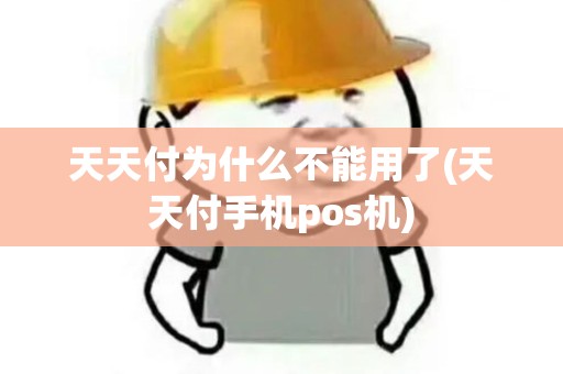天天付为什么不能用了(天天付手机pos机)