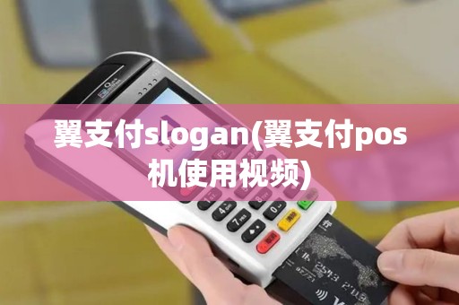 翼支付slogan(翼支付pos机使用视频)