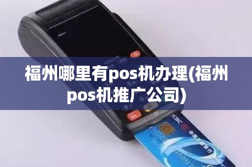 福州哪里有pos机办理(福州pos机推广公司)