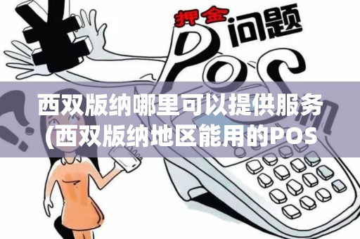 西双版纳哪里可以提供服务(西双版纳地区能用的POS机)