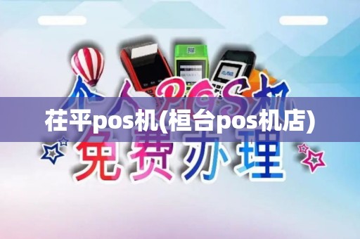 茌平pos机(桓台pos机店)