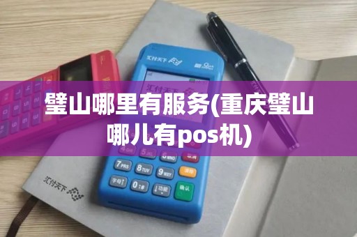 璧山哪里有服务(重庆璧山哪儿有pos机)