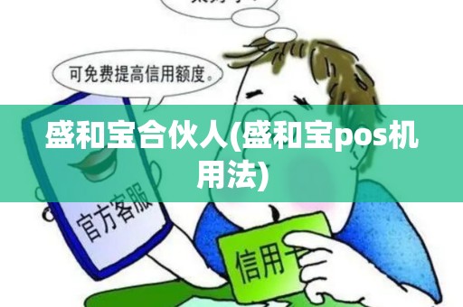盛和宝合伙人(盛和宝pos机用法)