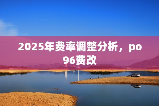 2025年费率调整分析，po96费改