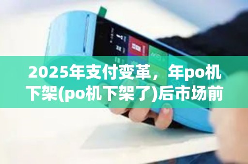 2025年支付变革，年po机下架(po机下架了)后市场前景
