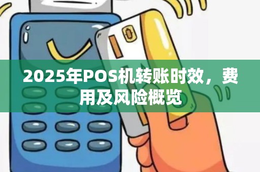 2025年POS机转账时效，费用及风险概览