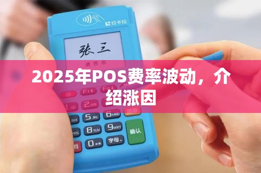 2025年POS费率波动，介绍涨因