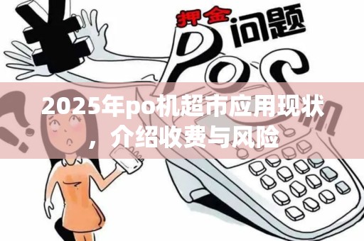 2025年po机超市应用现状，介绍收费与风险