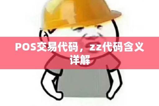 POS交易代码，zz代码含义详解