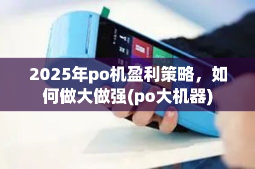 2025年po机盈利策略，如何做大做强(po大机器)