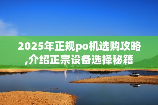 2025年正规po机选购攻略,介绍正宗设备选择秘籍