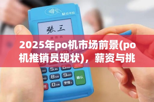 2025年po机市场前景(po机推销员现状)，薪资与挑战并存