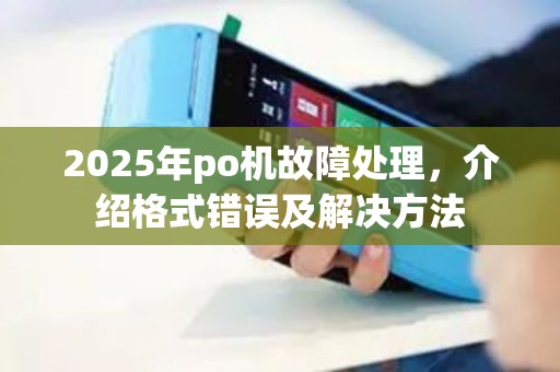 2025年po机故障处理，介绍格式错误及解决方法