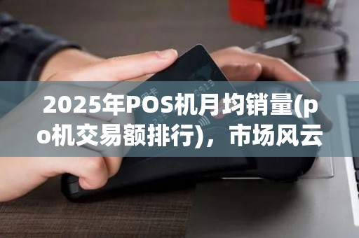 2025年POS机月均销量(po机交易额排行)，市场风云再起