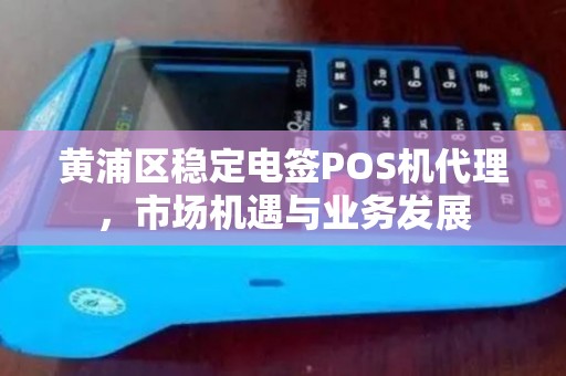 黄浦区稳定电签POS机代理，市场机遇与业务发展
