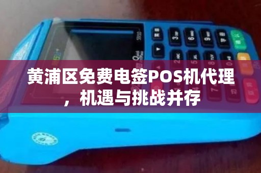 黄浦区免费电签POS机代理，机遇与挑战并存