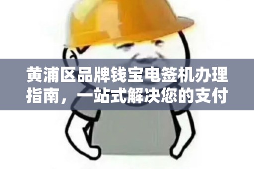 黄浦区品牌钱宝电签机办理指南，一站式解决您的支付需求