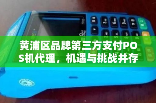 黄浦区品牌第三方支付POS机代理，机遇与挑战并存的市场