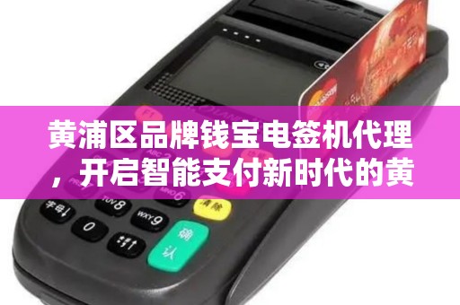 黄浦区品牌钱宝电签机代理，开启智能支付新时代的黄金机遇