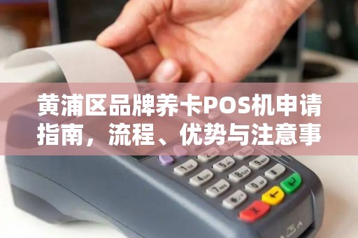 黄浦区品牌养卡POS机申请指南，流程、优势与注意事项